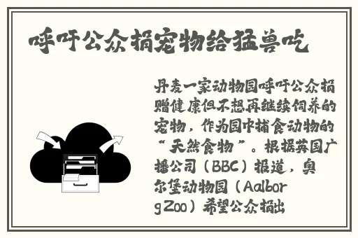 兰桂坊七公主